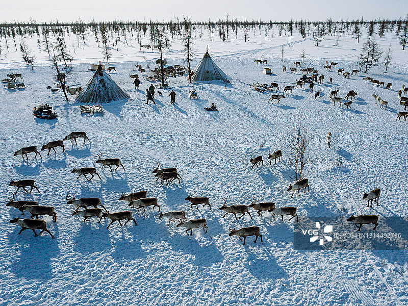 西伯利亚北部高处的驯鹿牧民营地图片素材