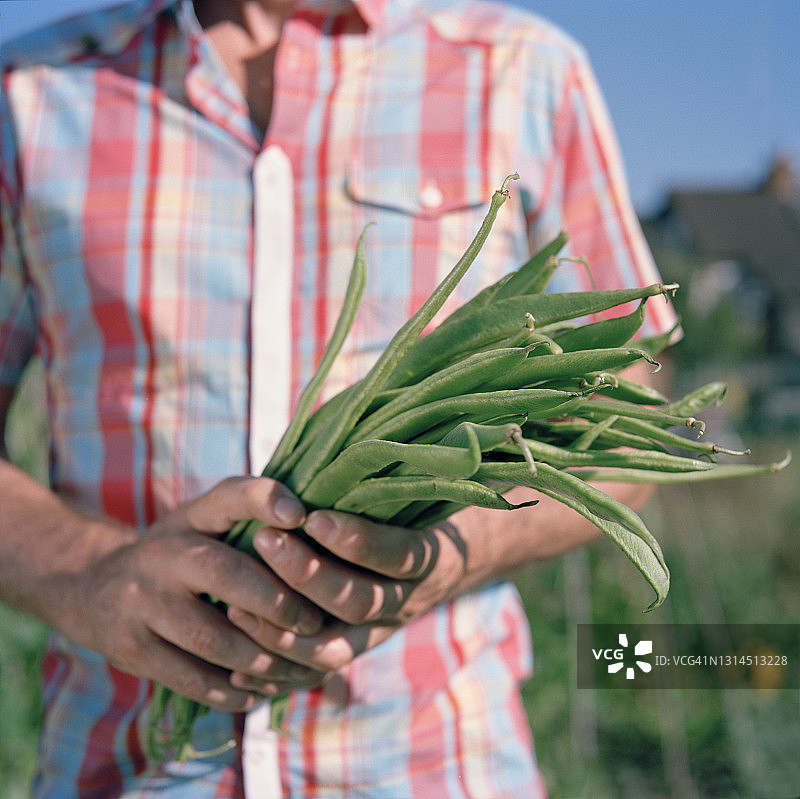 男人拿着扁豆图片素材