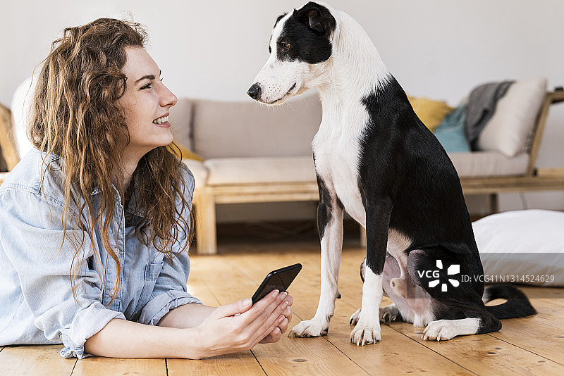 笑容满面的女人躺在客厅地板上，用手机看着杰克罗素梗犬图片素材