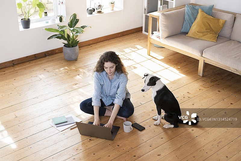 在家坐在地板上，杰克罗素梗犬旁用笔记本电脑工作的女商人图片素材