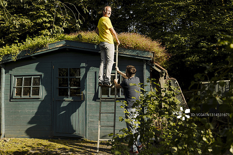 儿子在后院房屋前扶着梯子，男人站在梯子上图片素材