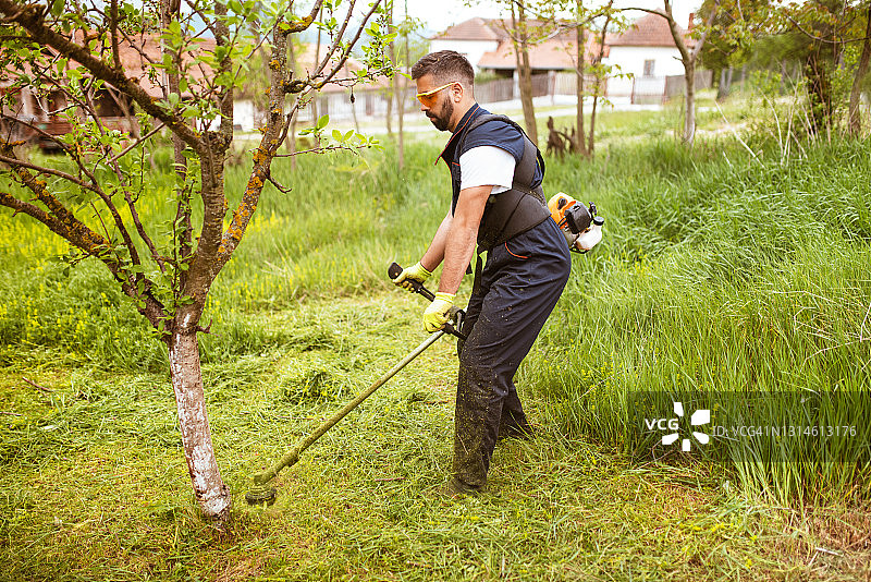 男子用汽油修剪机修剪浓密的草图片素材