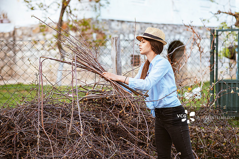 修剪灌木和果树枯枝的年轻女园丁图片素材