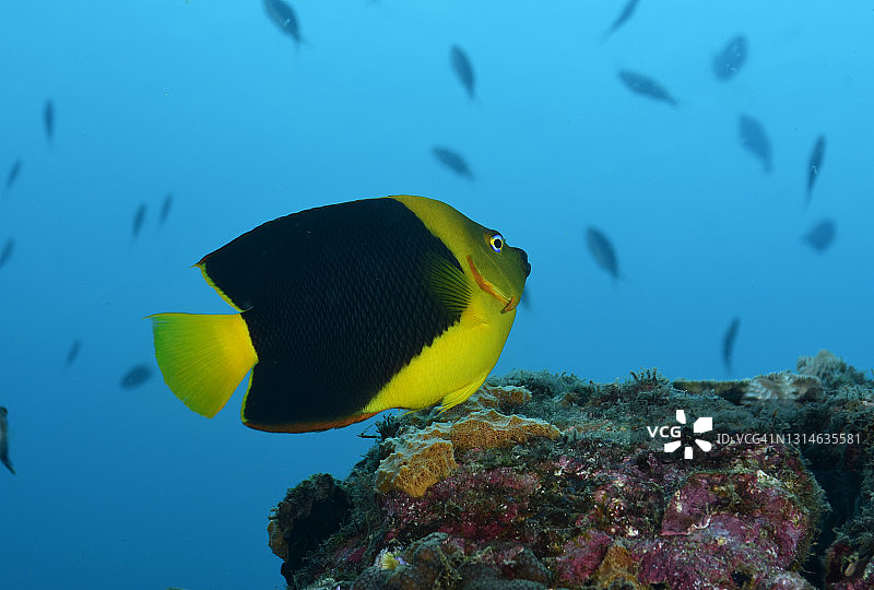 岩石之美图片素材