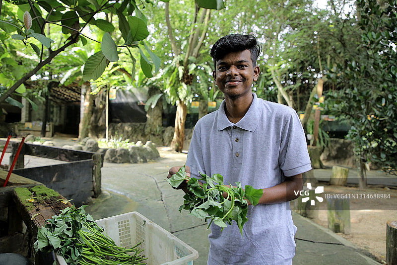 宠物动物园一日游图片素材