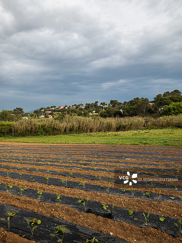 农业景观图片素材