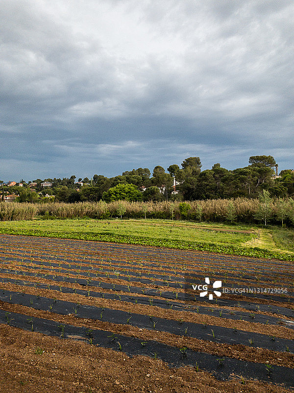 农业景观图片素材