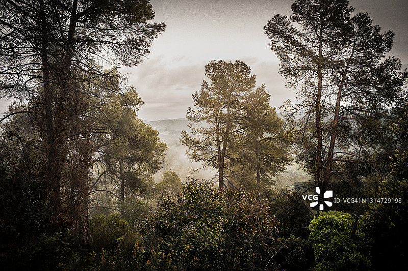 加泰罗尼亚自然公园图片素材