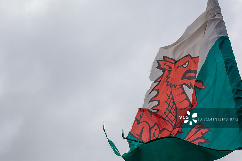 威尔士龙图片素材