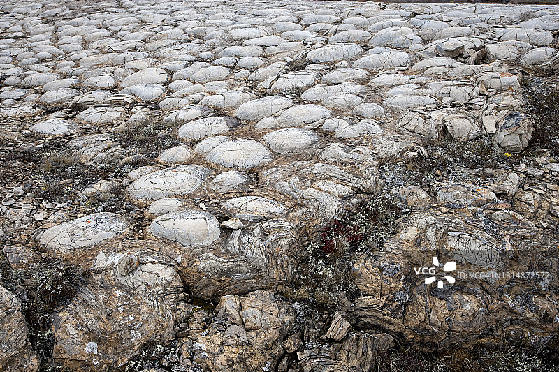 加拿大北极地区的古老叠层石岩层图片素材