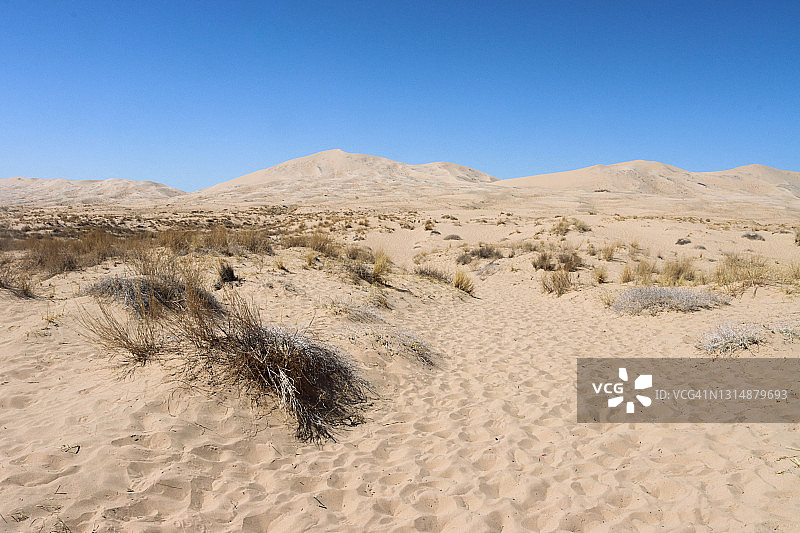 开尔索沙丘小径，莫哈维国家保护区图片素材