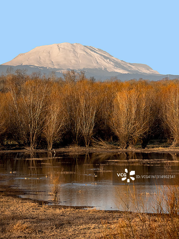 从索维岛远眺圣海伦斯火山018图片素材