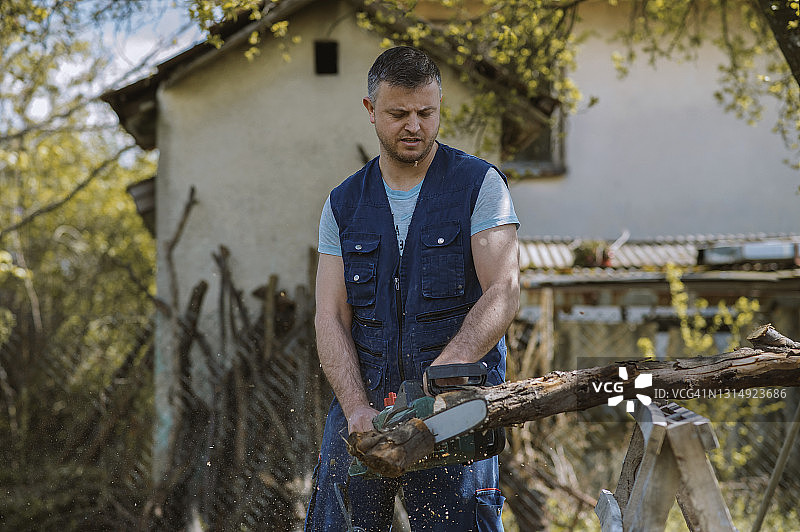 用油锯切割树干的男人图片素材