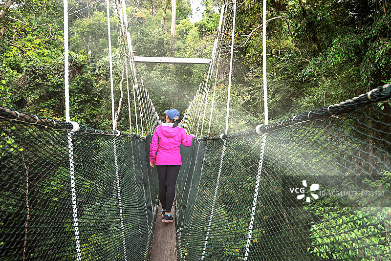 女人在婆罗洲的树冠走道上享受大自然图片素材