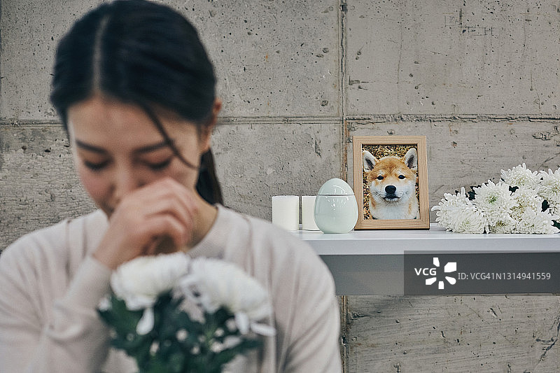 为狗的去世而哭泣的女人图片素材