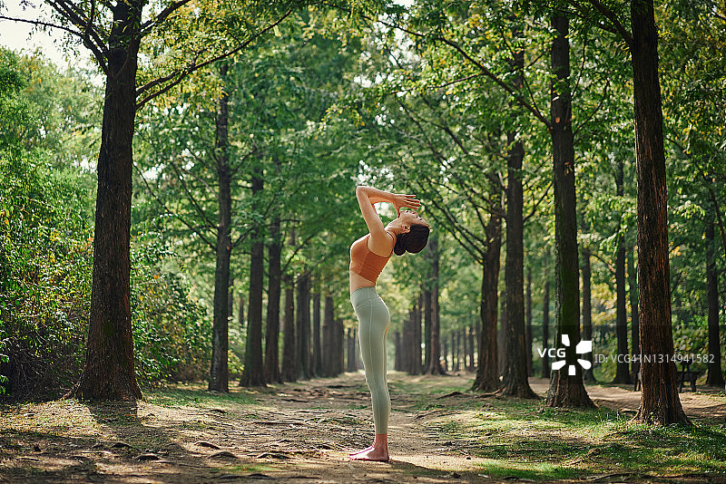 在森林里做瑜伽的女人图片素材