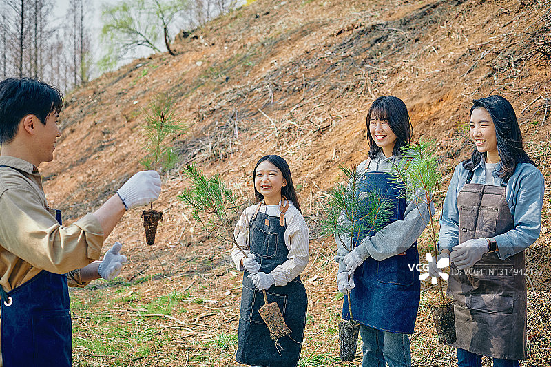 人们拿着树苗图片素材