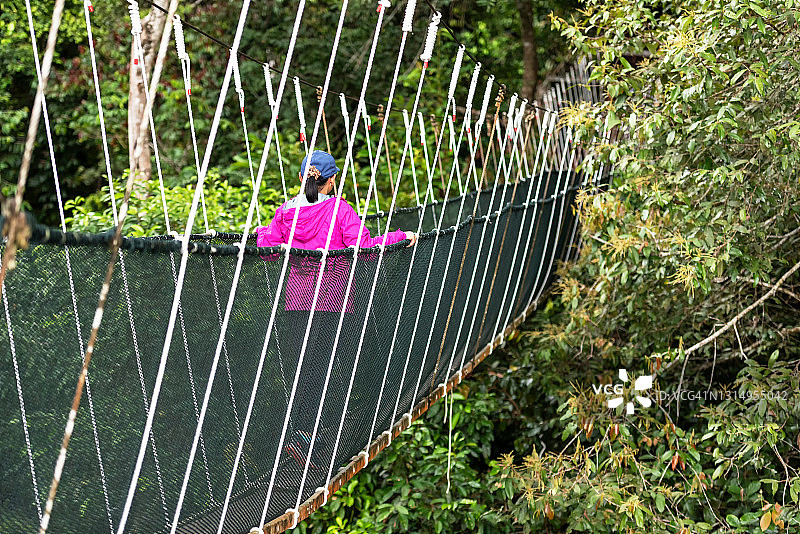 女人在婆罗洲的树冠走道上享受大自然图片素材