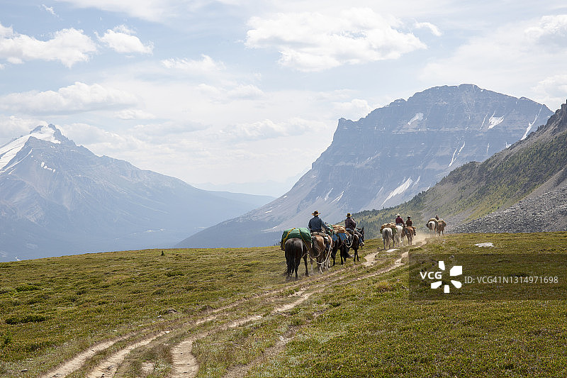 穿越山地草甸的马帮远景图片素材