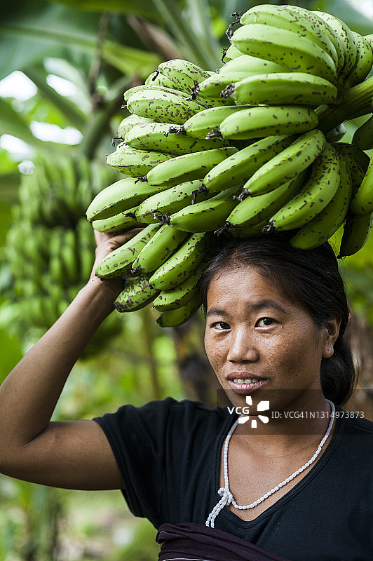 印度妇女收割香蕉图片素材