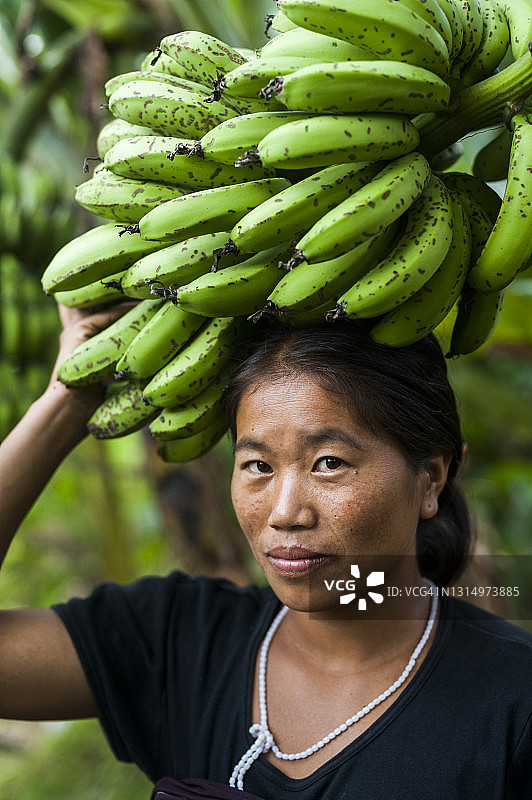 印度妇女收割香蕉图片素材