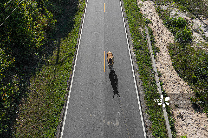 空无一人的道路图片素材