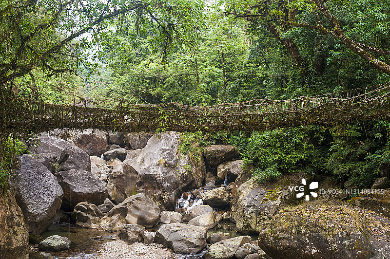 印度活根桥图片素材