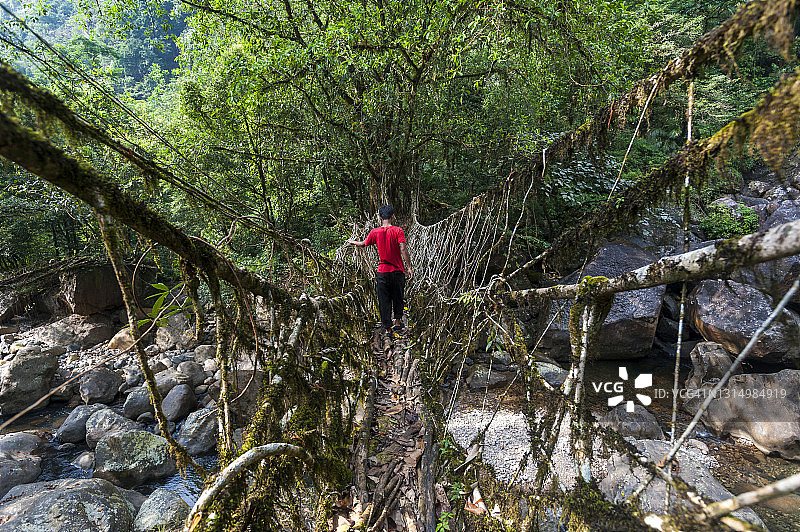 印度活根桥图片素材