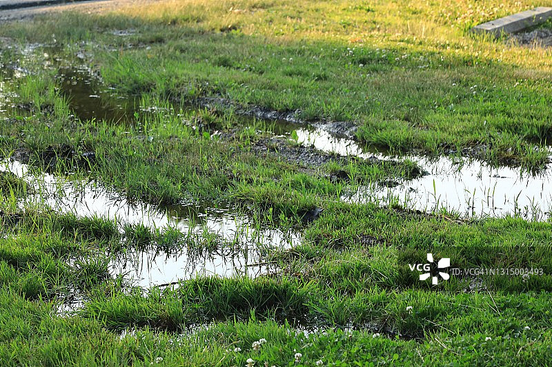 被洪水淹没的草坪上的积水图片素材