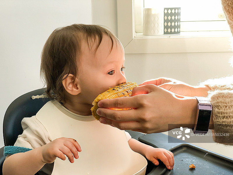 孩子在家吃玉米图片素材