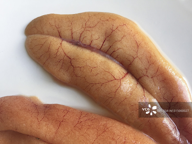 白色背景上的鲜鲭鱼籽图片素材