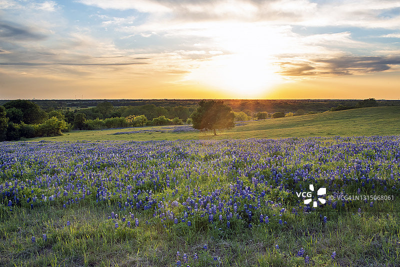 蓝帽谷的日落图片素材