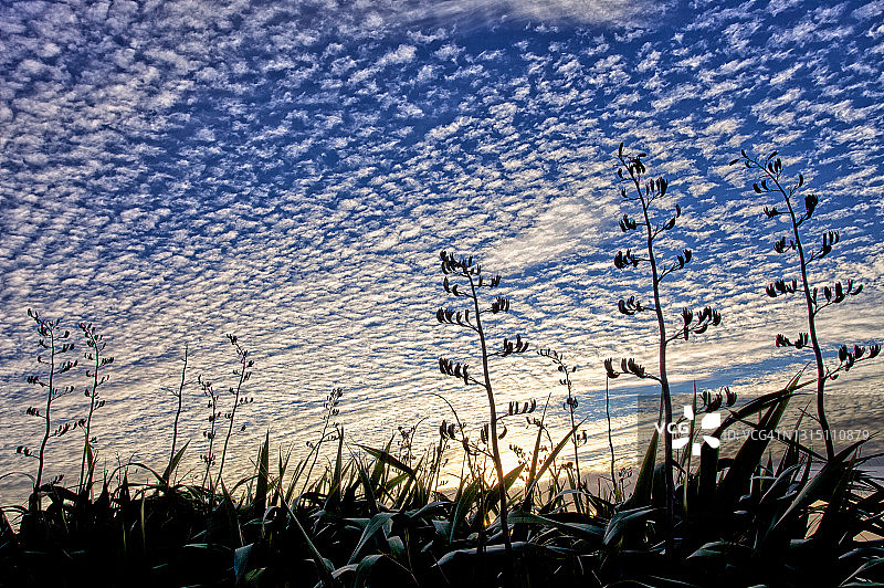 云朵与亚麻图片素材
