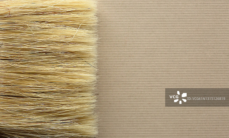 近距离观察鬃毛刷图片素材