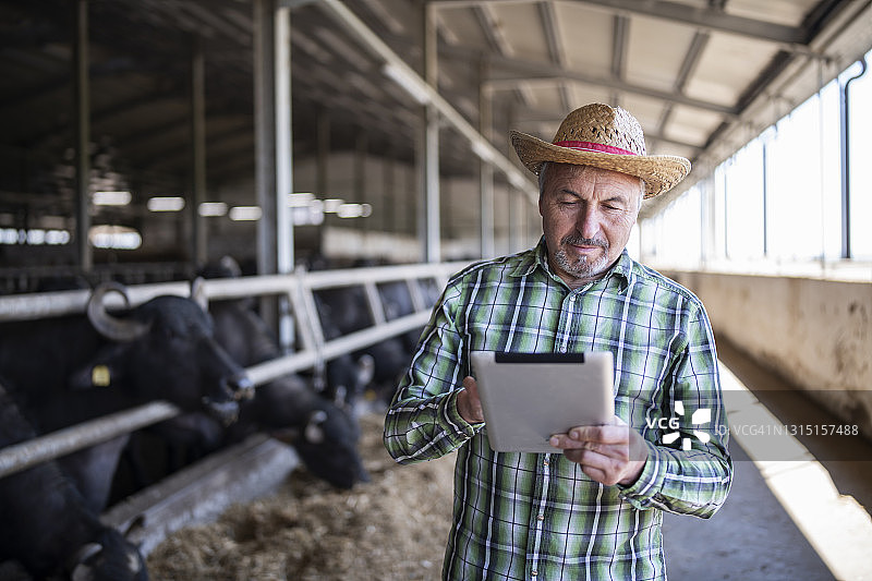 农民在奶牛场使用技术图片素材