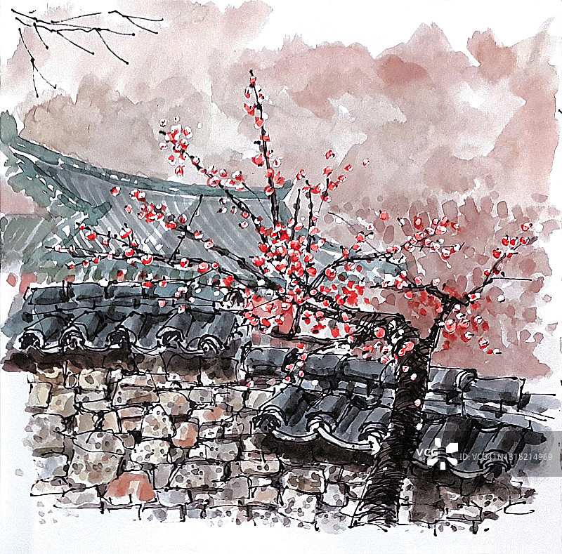 韩国顺天仙岩寺的红杏花图片素材