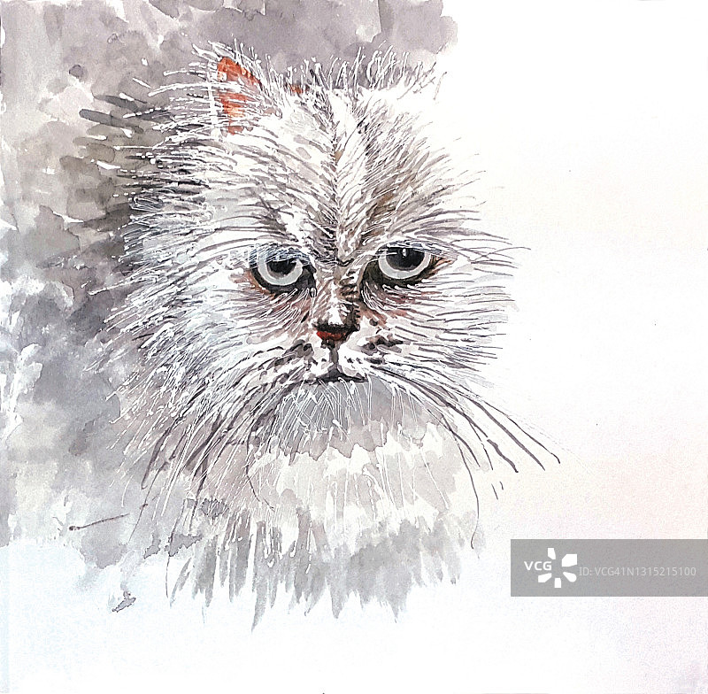 猫咪绘画图片素材