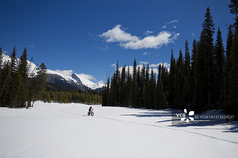 女子在加拿大骑胖胎自行车图片素材