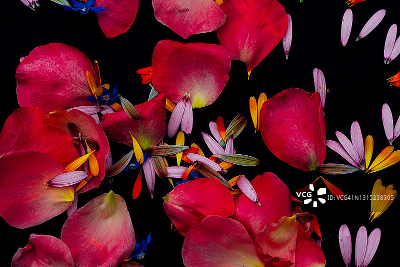 黑色背景上的玫瑰花瓣与其他花瓣抽象背景图片素材