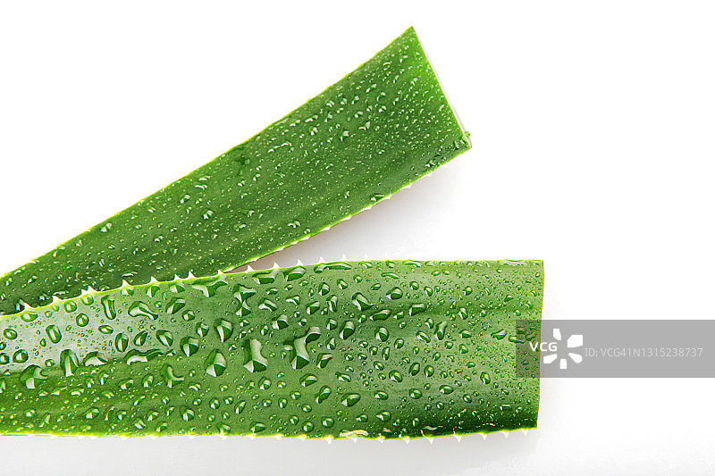 白色背景上的芦荟图片素材