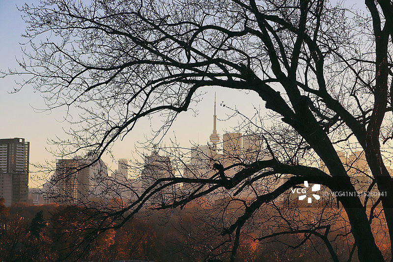 多伦多诗意金秋图片素材