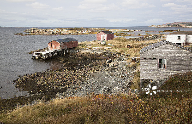纽芬兰的传统渔业建筑图片素材