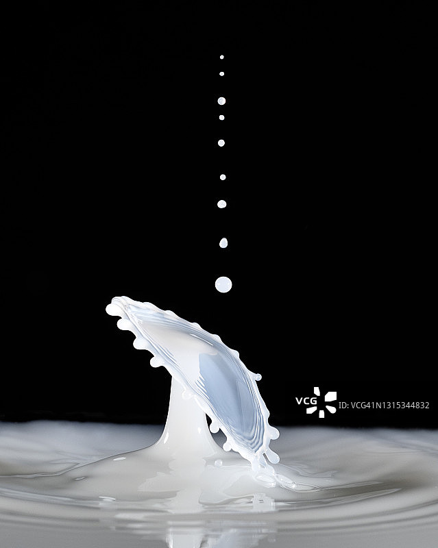 一群牛奶滴在黑色背景上的碰撞图片素材