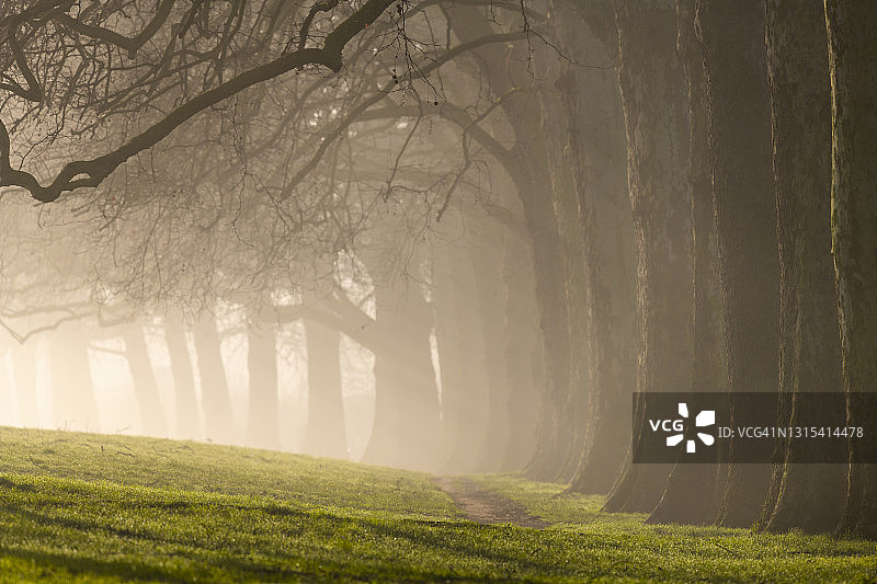 雾冬早晨的伦敦哈克尼唐斯图片素材