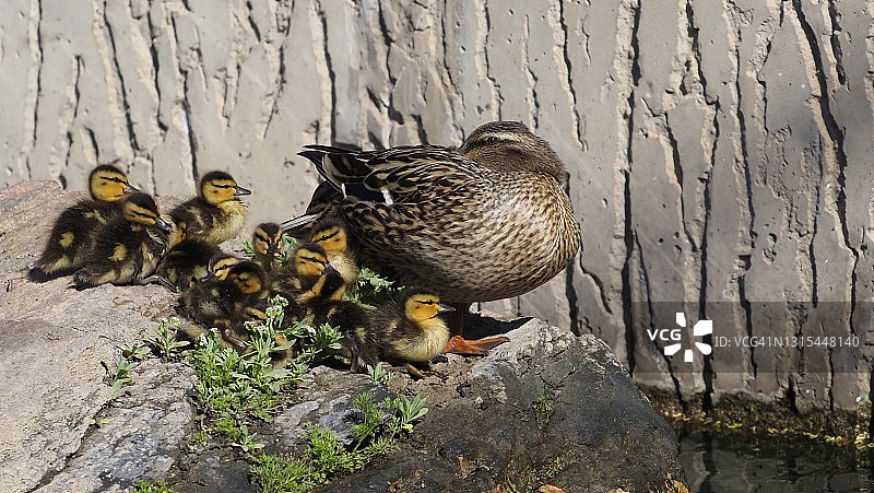 休息一下图片素材
