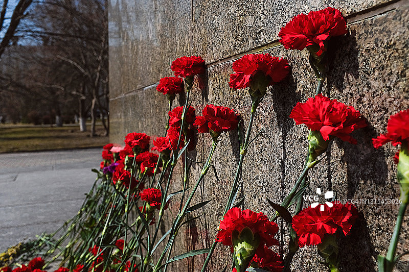 二战中在布拉茨克公墓花岗岩纪念牌上的康乃馨花，纪念阵亡的苏联士兵。“胜利日”（5月9日）的概念，祖先的记忆，在墓碑上献花图片素材