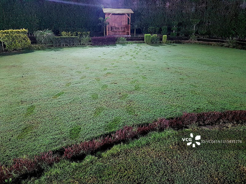 冬季湿绿草地上的脚印图片素材