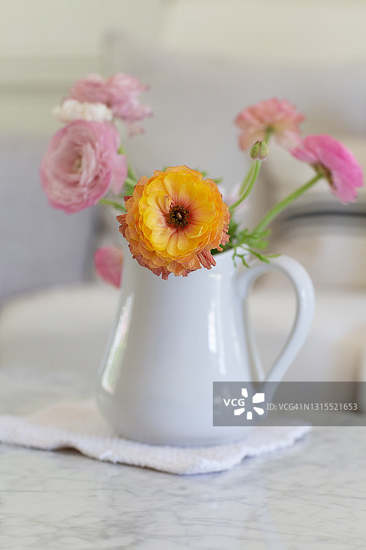 客厅里白色水罐中的毛茛花图片素材