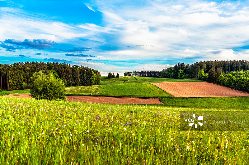 巴伐利亚春季的农业景观图片素材