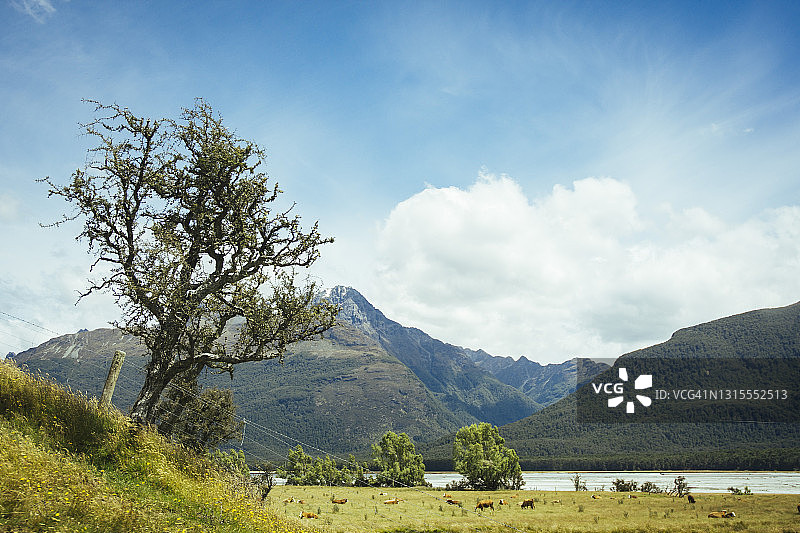 新西兰乡村农田与山地景观图片素材